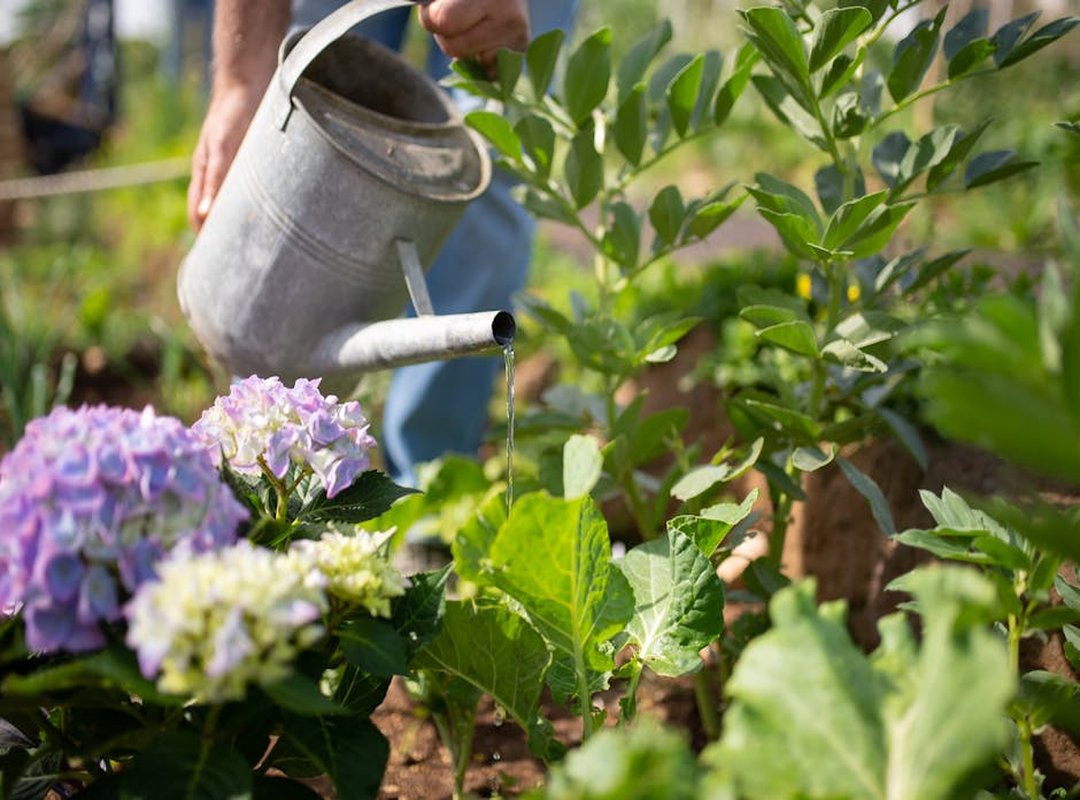 eco-friendly gardening hacks