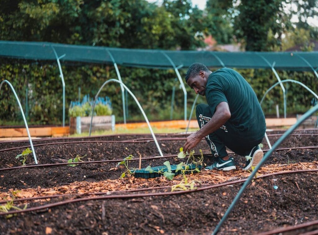 eco-friendly gardening hacks