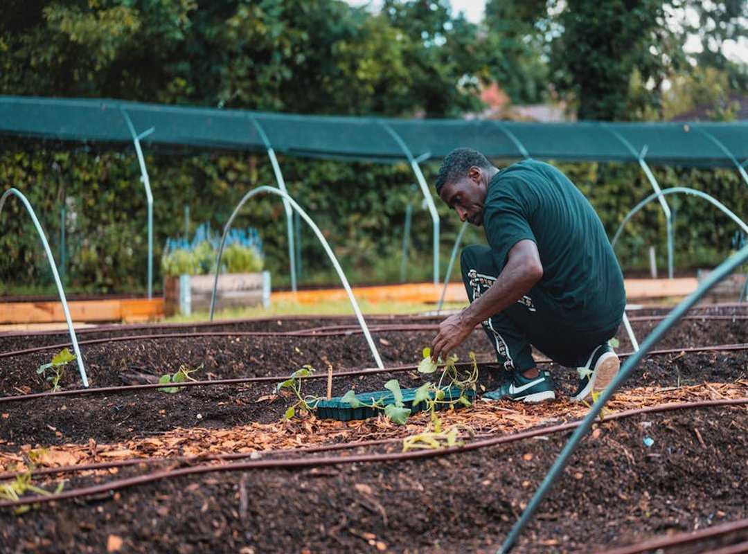 eco-friendly gardening hacks