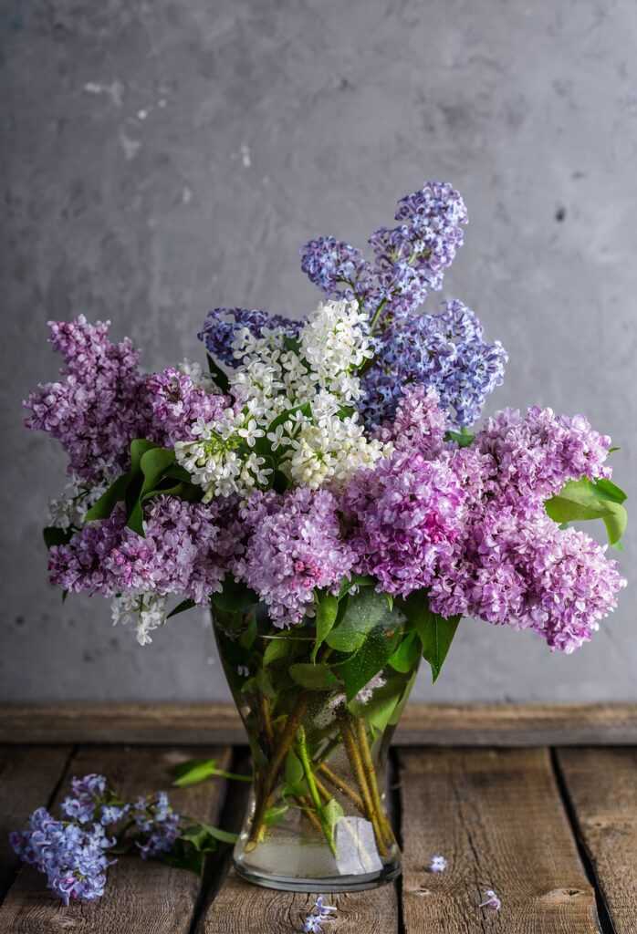 lilacs, happy mothers day, flower wallpaper, bouquet, vase, flowers, flower vase, centerpiece, flower background, beautiful flowers, purple flowers, bloom, nature, blossom, flora, plants, rustic, still life