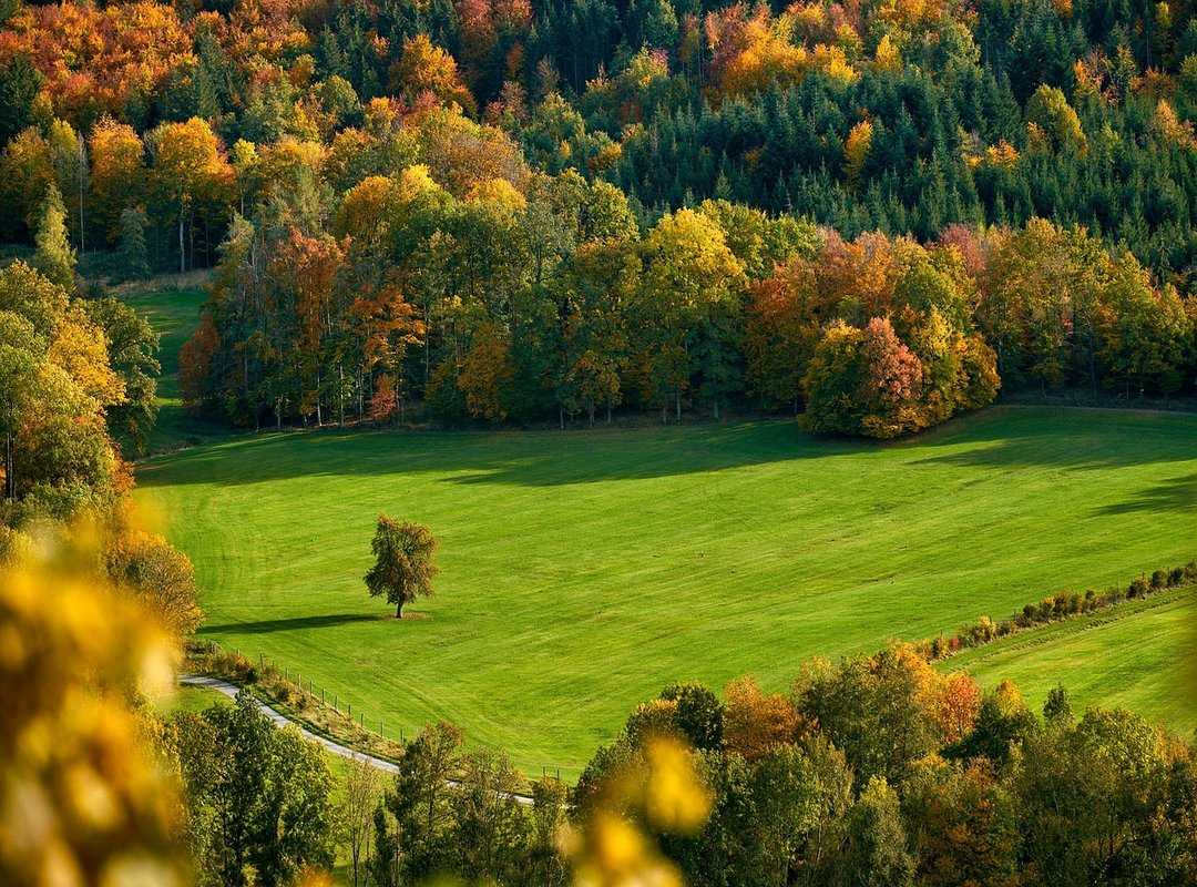 right outdoor colors