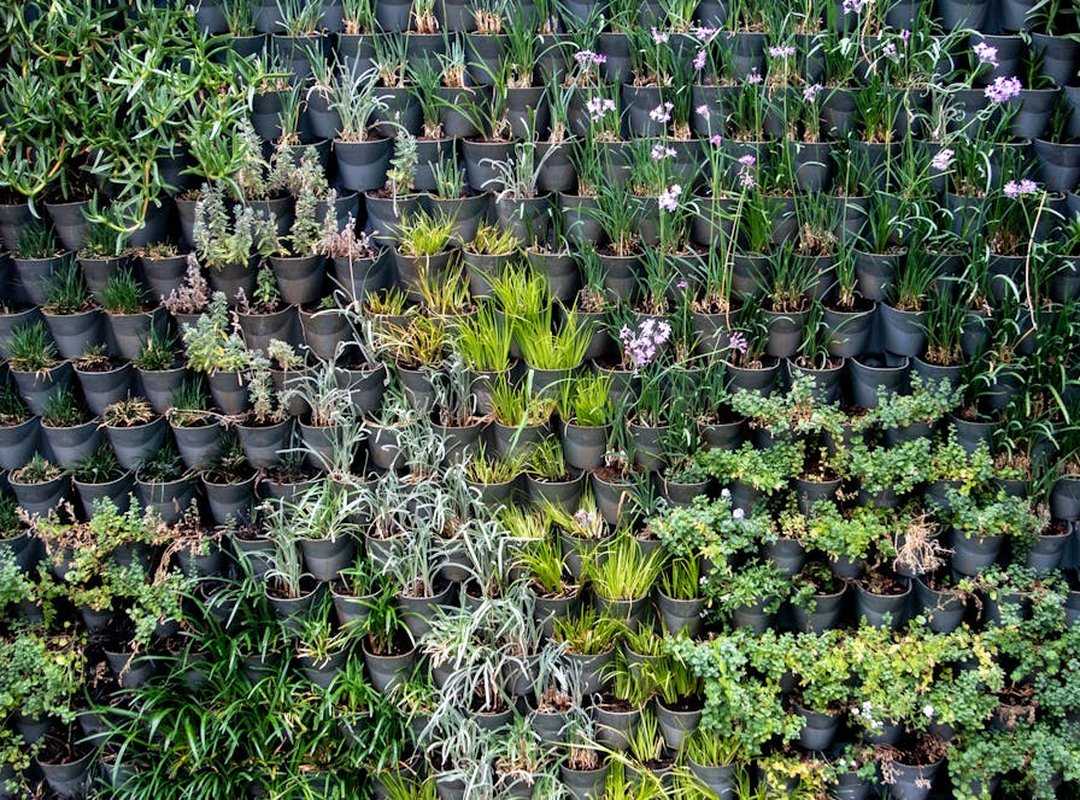 sustainable yard designs