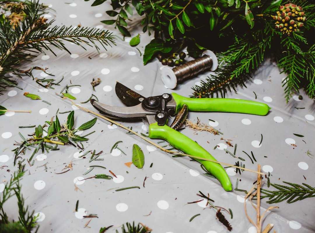 tools yard maintenance