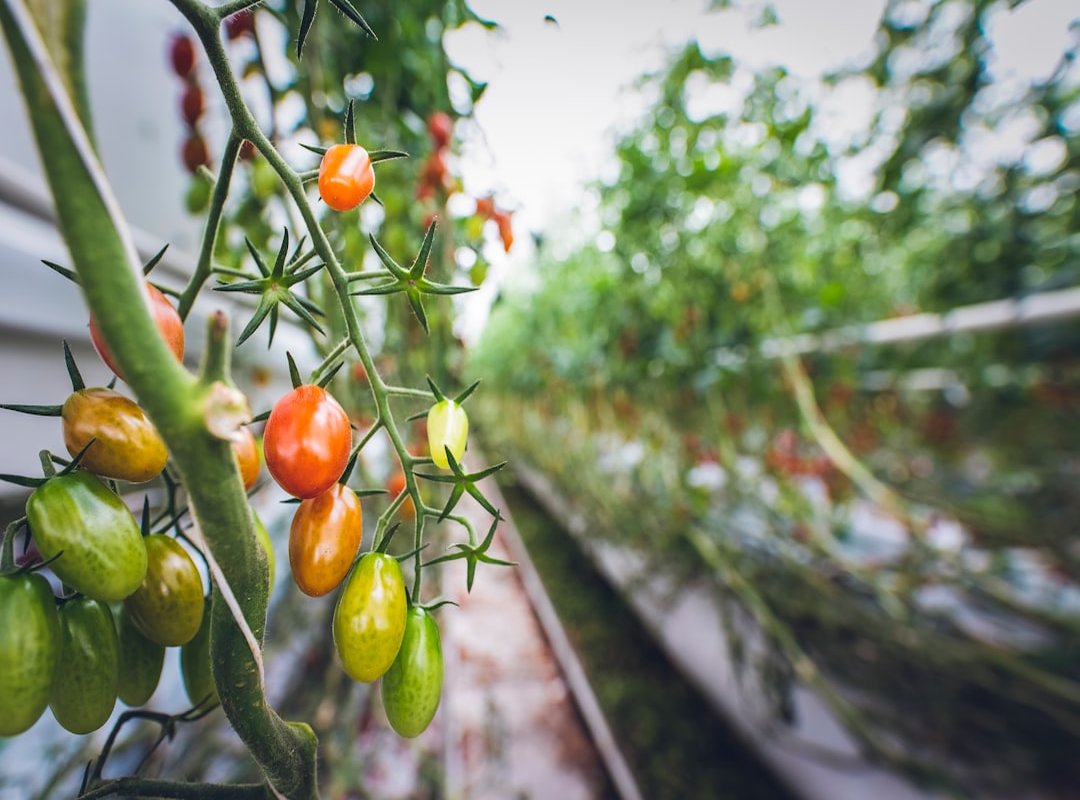 vertical gardening guide