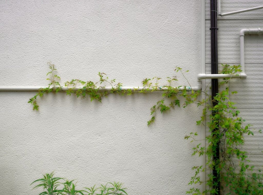 vertical gardening guide