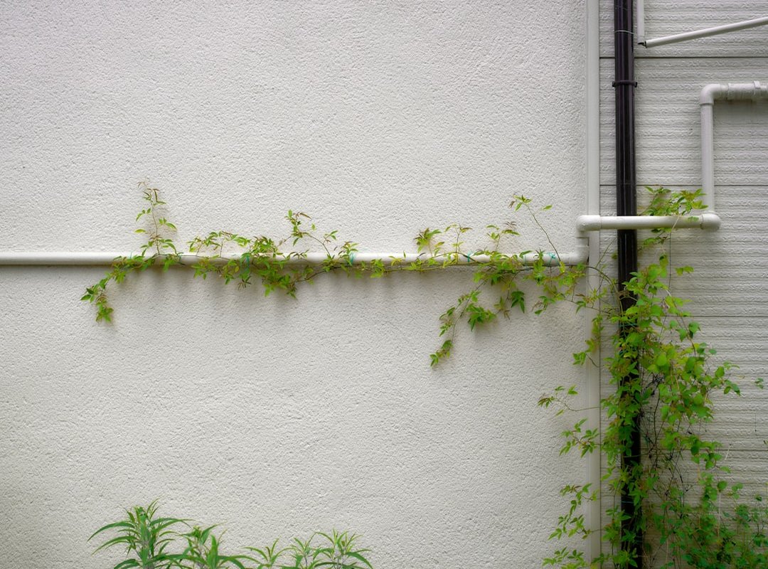 vertical gardening guide