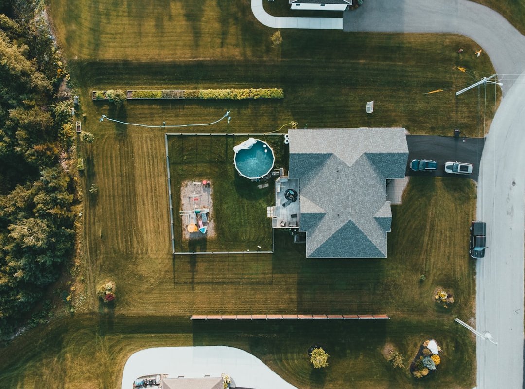 yard decor trends