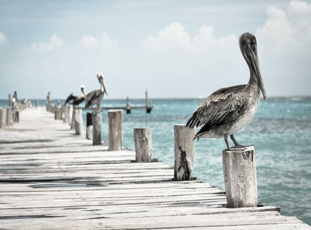 Smart Selections: Furniture and Decor That Enhance Space