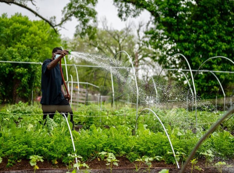 New Gardening Product Xhasrloranit